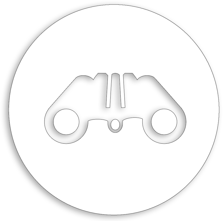 White binoculors icon
